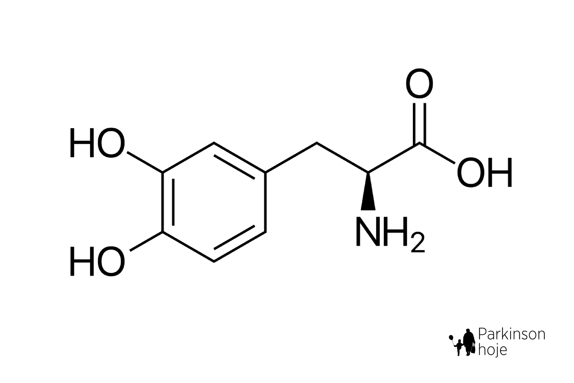 levodopa, a medicação mais eficiente para a doença de Parkinson